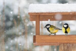 Vogelfutterhaus im privaten Garten